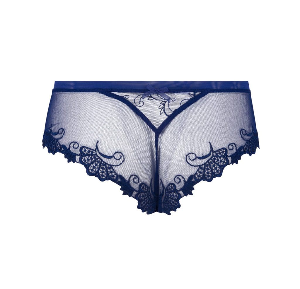 Back View of Lise Charmel Dressing Floral Shorty Brief in Dressing Blue