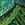all the greens