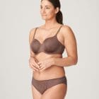 Model wearing Prima Donna bra and brief set in brown and gold tones